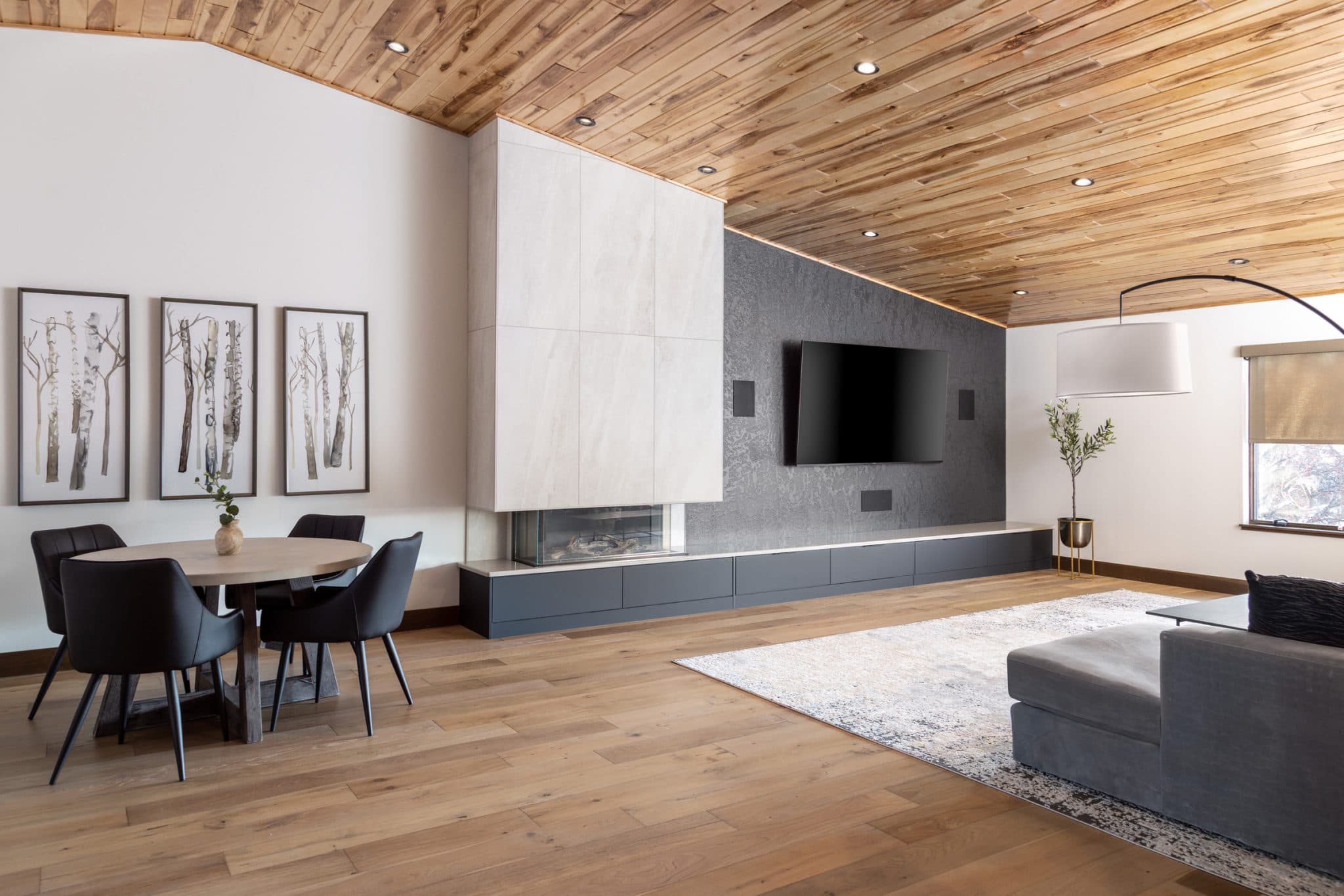 Contemporary Family Room Cabinets